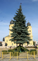 2009-es karácsonyfa Debrecenben KArácsonyfa