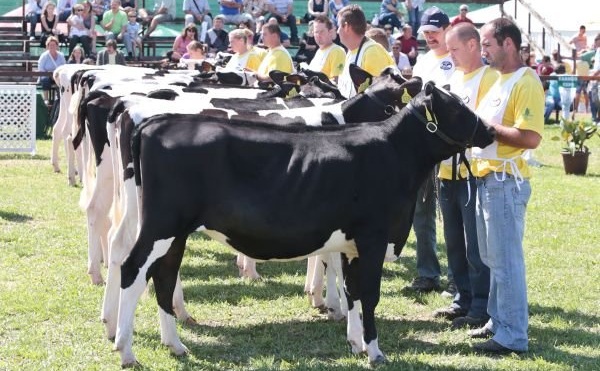 300 kiállító volt a Farmer Expón