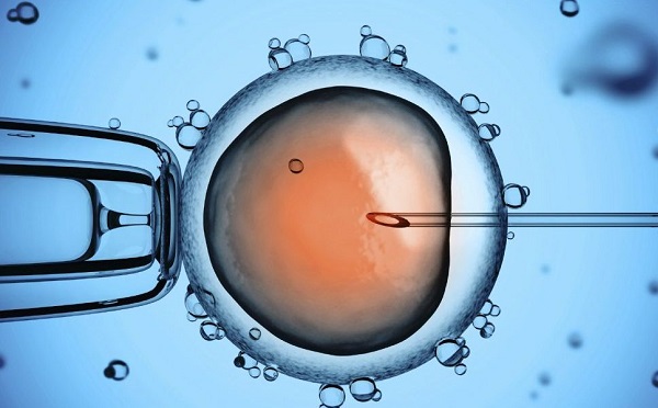 Lombikprogram a Debreceni Egyetemen