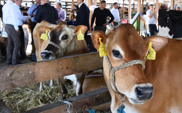 300 kiállító lesz az idei debreceni Farmer Expón