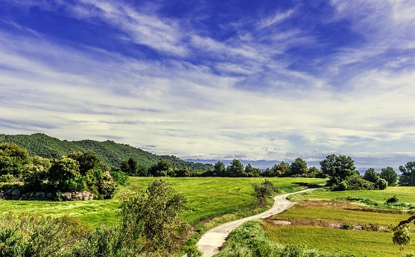Települési Természeti Tőke szakmai anyagot készít a megyei önkormányzat