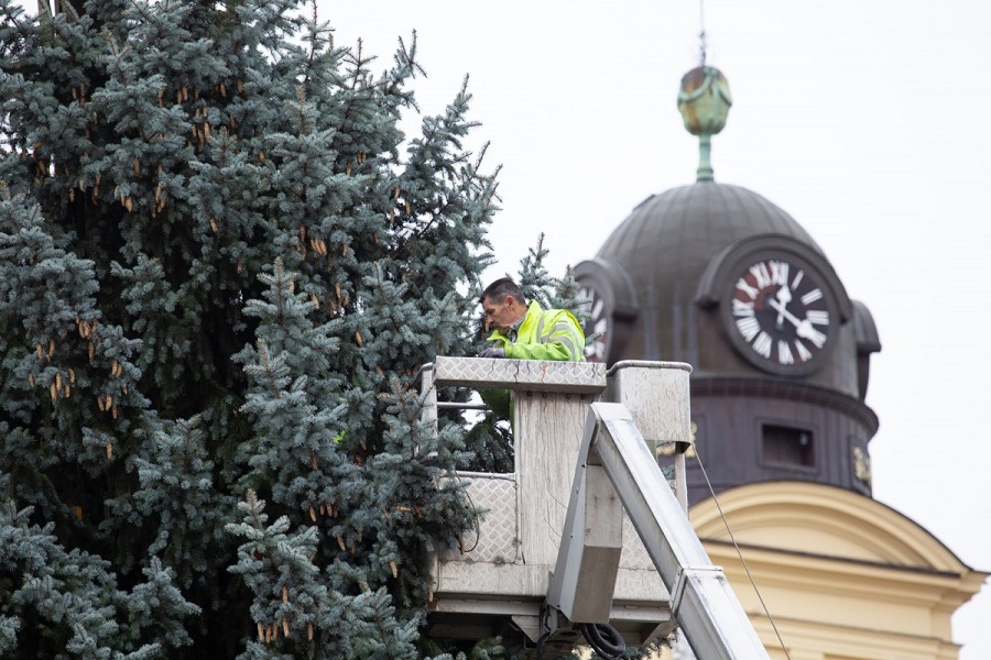 Munkálatok Debrecen idei karácsonyfáján