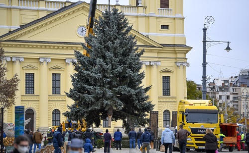 Debrecen karácsonyfája már a Kossuth téren magaslik
