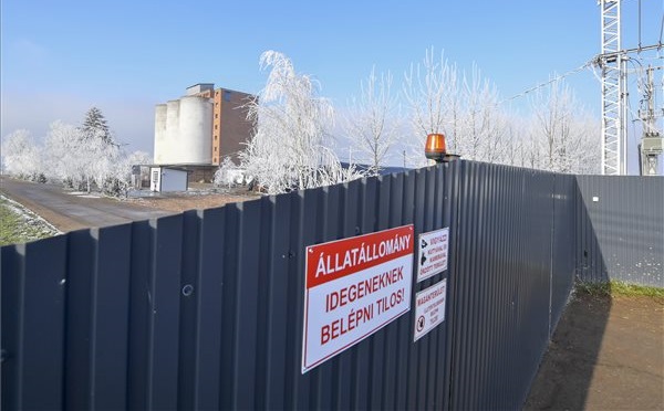 Megkezdődött a Hajdú-Bihar megyei fertőzött kacsatelep felszámolása