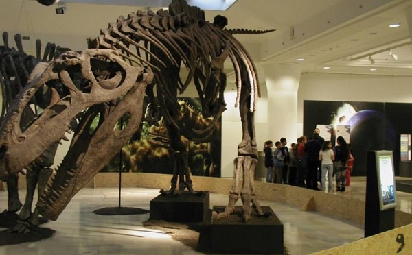 Debreceni polgármester: örömmel fogadjuk az új természettudományi múzeumot