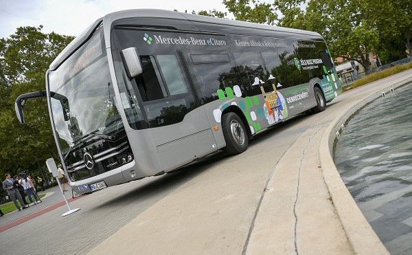 zoldbusz