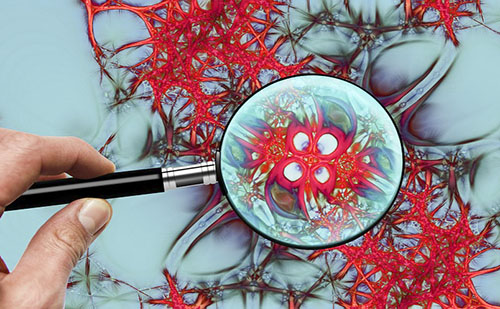 Mentális betegségek okait vizsgáló fejlesztésben segített egy debreceni cég