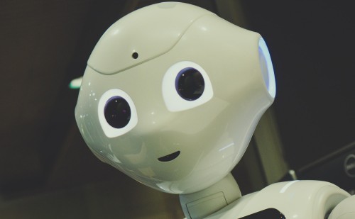 A Debreceni Egyetemmel karöltve robotokat fejlesztenek