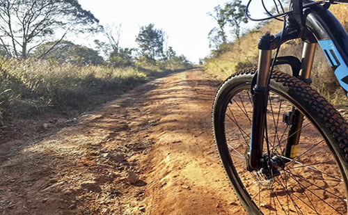 Erdei bringaparkot adtak át Hajdúhadházán 