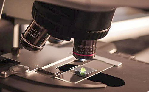 Új labort adtak át a TEVA debreceni gyárában